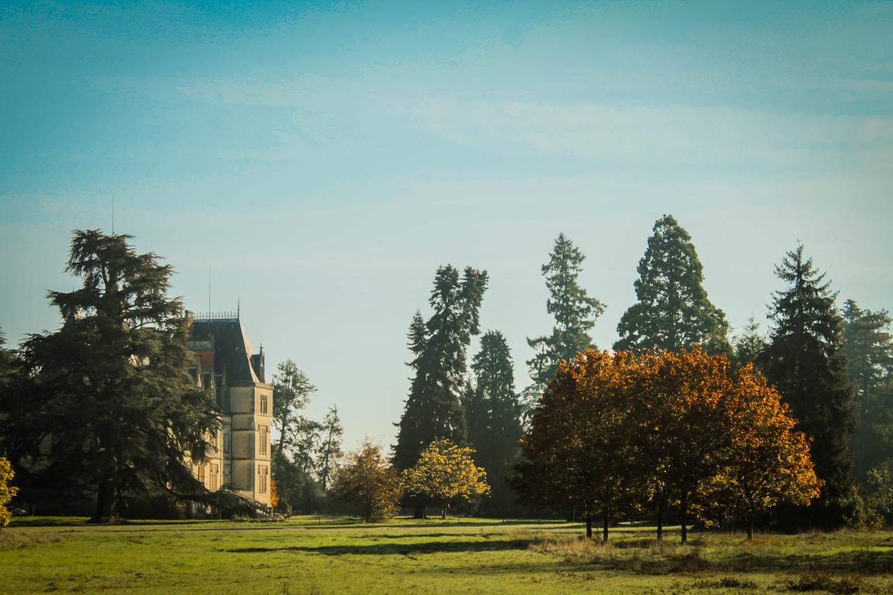 Chateau Le Boisrenault Hotel Buzançais Екстериор снимка