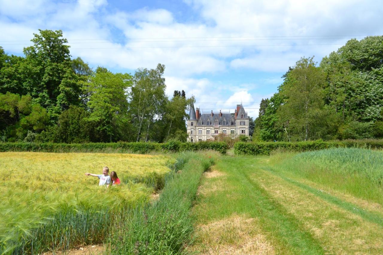 Chateau Le Boisrenault Hotel Buzançais Екстериор снимка